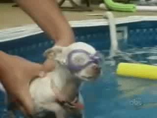 Первое купание Кузи