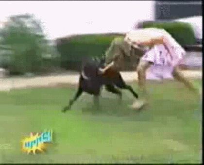 Ловки, весёлая игра ихахаха