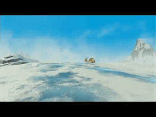 Чувствую где - то рядом есть белка