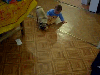 Папа экстремально играет с сыном