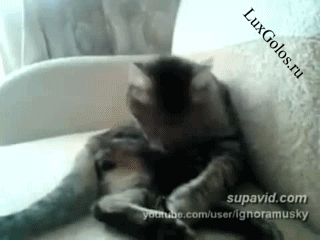 Борьба с собственными лапками