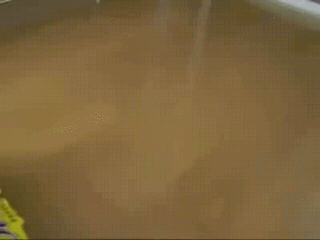 Кошка штурмует каропку