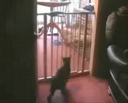 Неудачная пластика