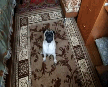 Здаюсь, здаюсь только не пытайте а