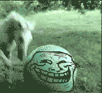 Лошадка решила немного покататься