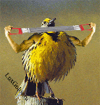 Мировой качек воробей